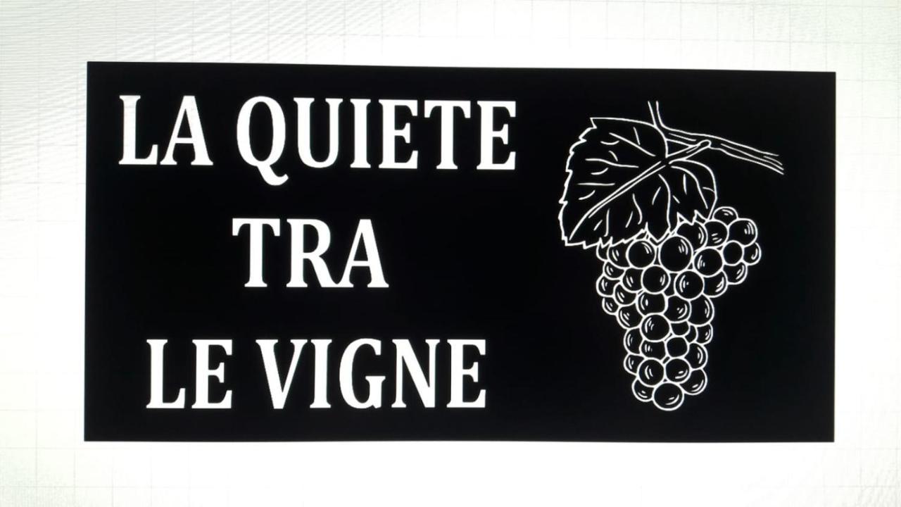 Appartement La Quiete Tra Le Vigne à Collesalvetti Extérieur photo