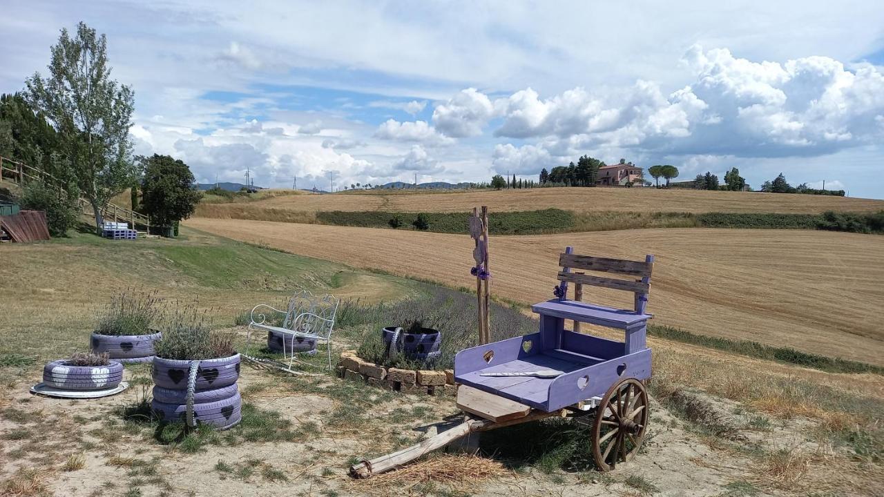 Appartement La Quiete Tra Le Vigne à Collesalvetti Extérieur photo