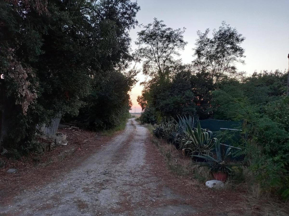 Appartement La Quiete Tra Le Vigne à Collesalvetti Extérieur photo