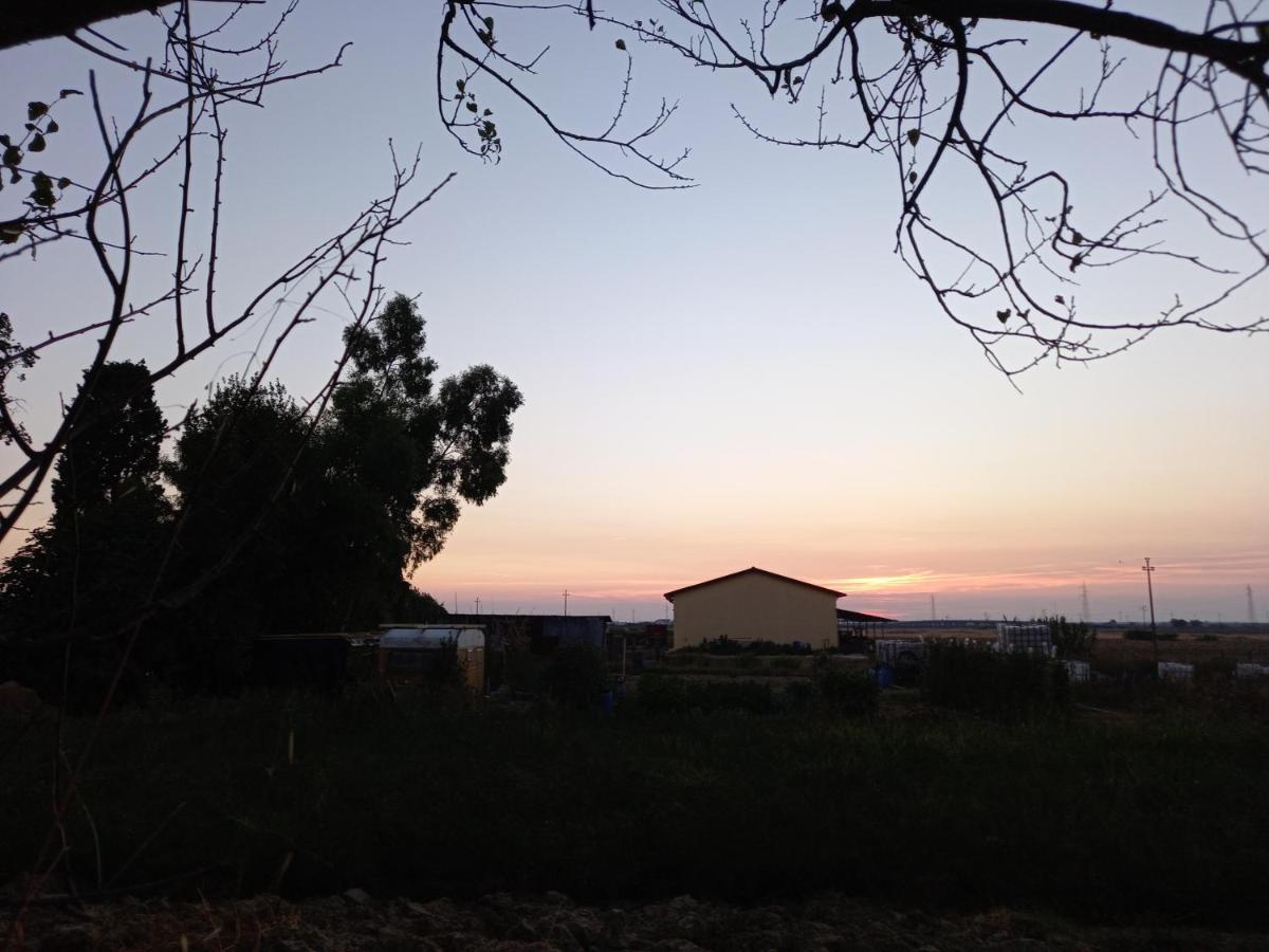 Appartement La Quiete Tra Le Vigne à Collesalvetti Extérieur photo
