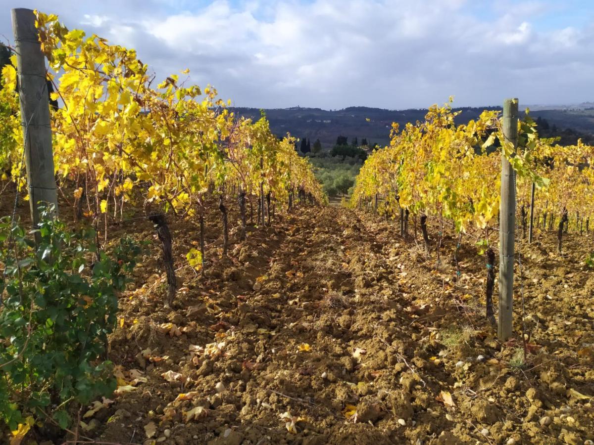 Appartement La Quiete Tra Le Vigne à Collesalvetti Extérieur photo
